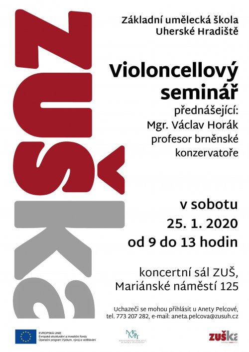 Violoncellový seminář